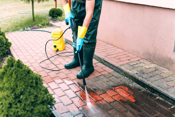 Animal Enclosure Cleaning in Emporia, VA